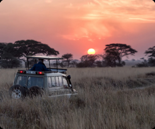 carousel-image-car-savana-namibia